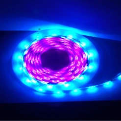 5M Flag Pole Pre-Set Digital Led Dream Lights Strip -Vango || Kampa || Outwell Sales Store digital 1 2 1